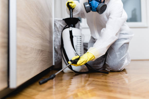 Best Emergency Pest Control  in Helena Valley West Central, MT