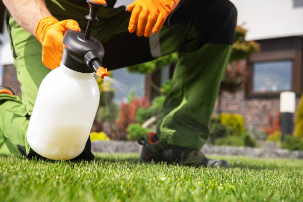 Best Pest Inspection Near Me  in Helena Valley West Central, MT