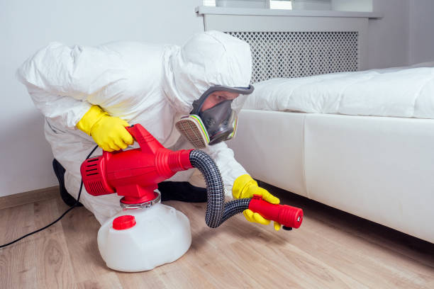 Best Pest Control Near Me  in Helena Valley West Central, MT