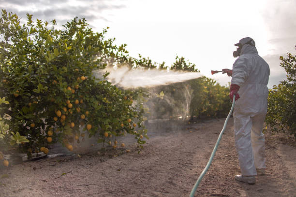 Best Affordable Pest Control Services  in Helena Valley West Central, MT