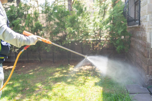 Best Flea Control Services  in Helena Valley West Central, MT