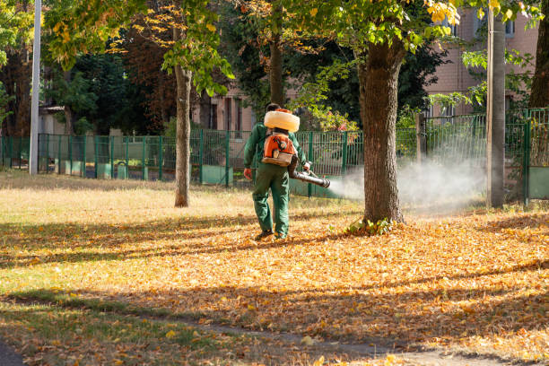 Best Pest Removal Services  in Helena Valley West Central, MT